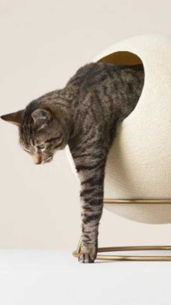 Cattoda Cat Furniture