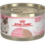 Cattoda Royal-Canin-Mother-&-Babycat
