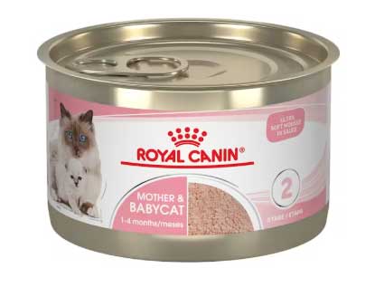 Cattoda Royal-Canin-Mother-&-Babycat