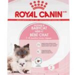 Royal Canin Babycat step 2 -0